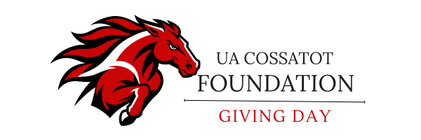 Giving Day 2027 - image header Giving Day 2027 - image header
