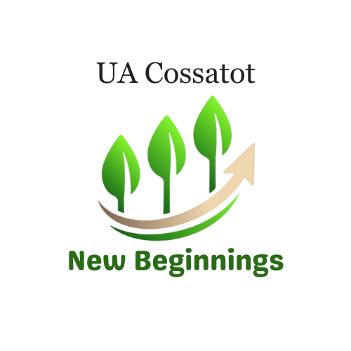 New Beginnings